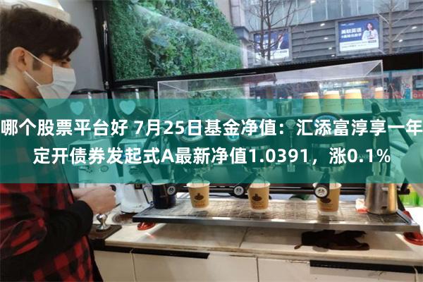 哪个股票平台好 7月25日基金净值：汇添富淳享一年定开债券发起式A最新净值1.0391，涨0.1%