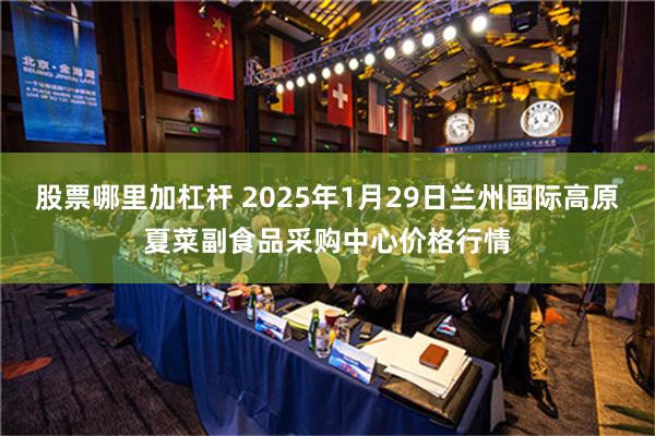 股票哪里加杠杆 2025年1月29日兰州国际高原夏菜副食品采购中心价格行情